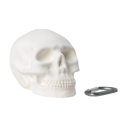 VirginGrip-Climbing-Holds-Set-The Skull front side