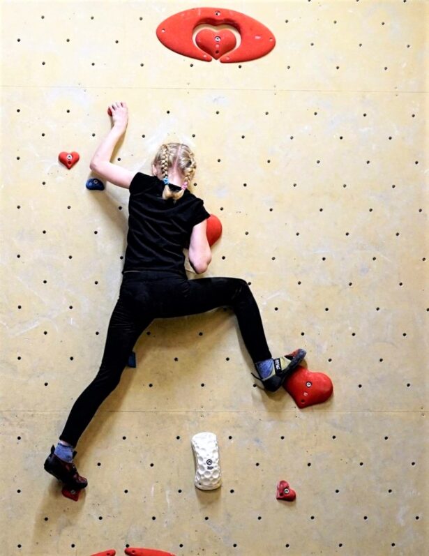 climbing-holds-set-vgspec-boulder-hearts