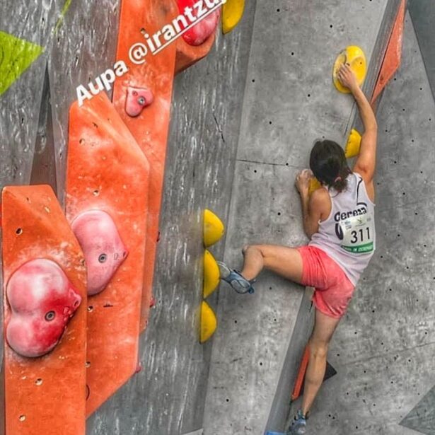 climbing-holds-set-vgspec-boulder-hearts
