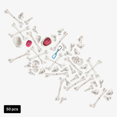 climbing holds lead set bones