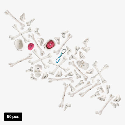 climbing holds lead set bones